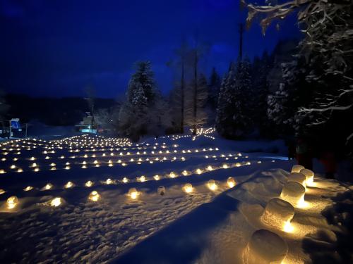 真冬の幻想…灯の回廊・菖蒲雪ほたるロード